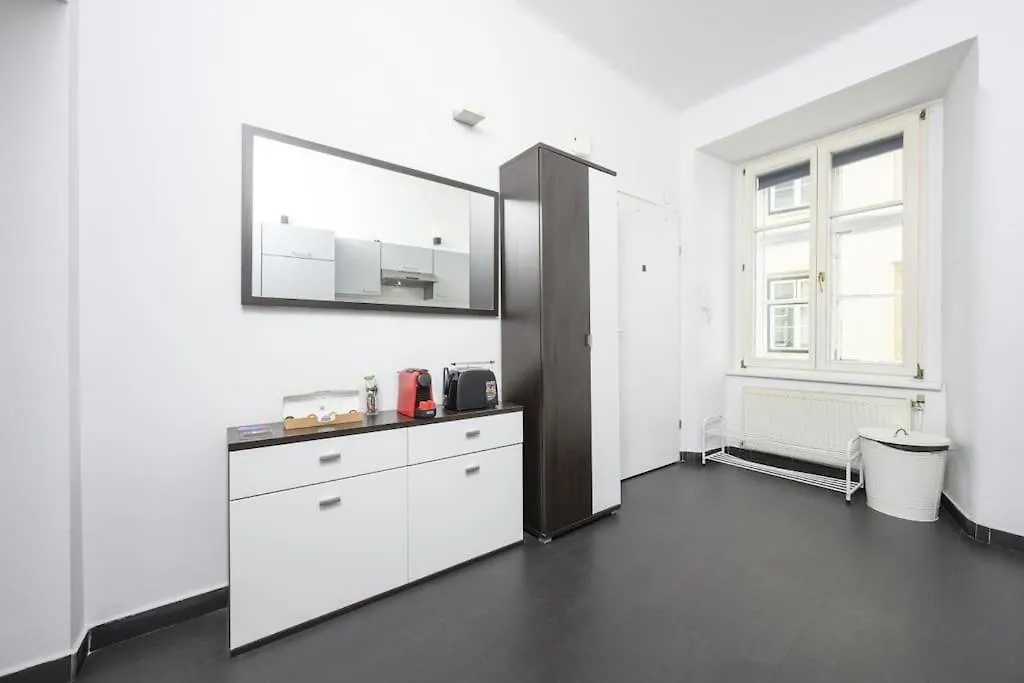 Charming Apartment In Center Vienna